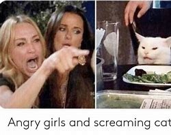 angry woman cat.jpg